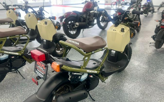 2024 Honda Ruckus