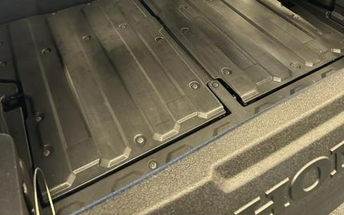 2025 Honda® Pioneer 1000-5 Trail Special Edition