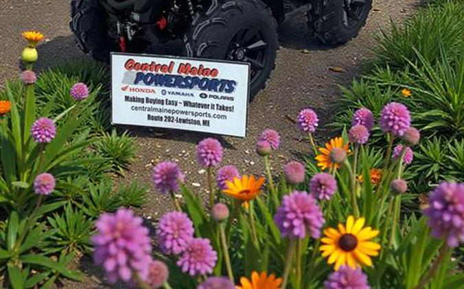 2026 Yamaha Grizzly EPS XT-R