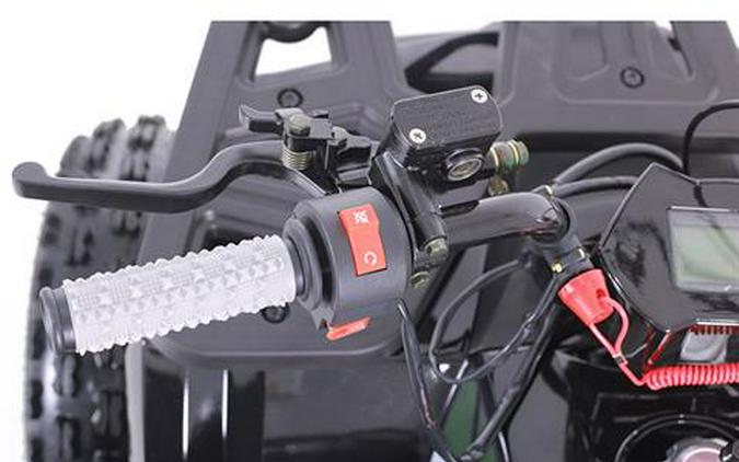 2025 Tao Motor MudHawk 10
