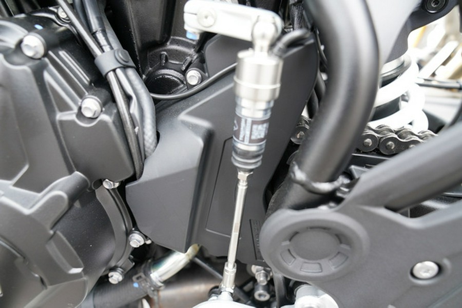 2026 Triumph Tiger 900 Desert Edition