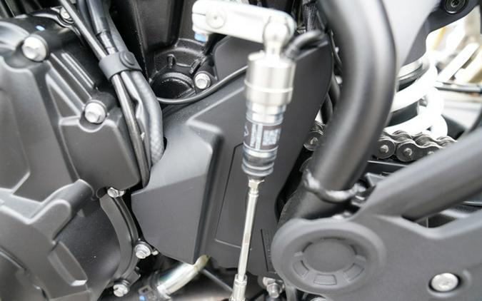 2026 Triumph Tiger 900 Desert Edition