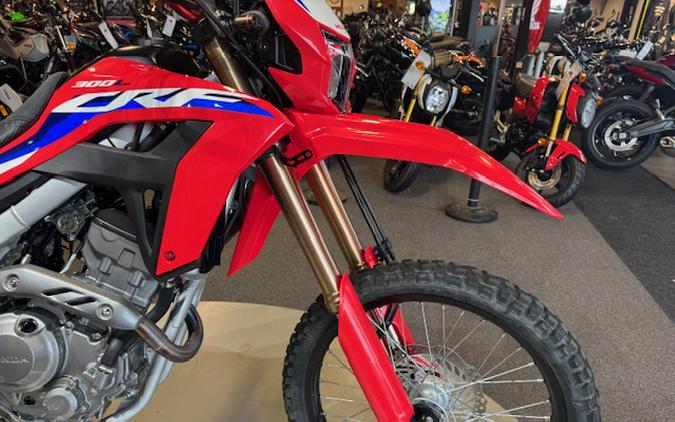 2021 Honda CRF300L ABS