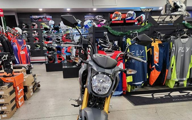 2024 Kawasaki Z125 PRO Base