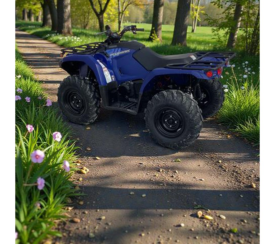 2026 Yamaha Kodiak 450
