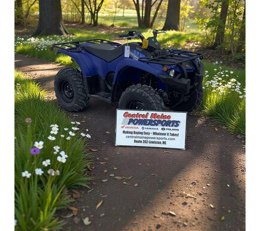 2026 Yamaha Kodiak 450