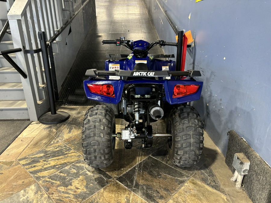 2021 Arctic Cat Off Road Alterra 90 2x4