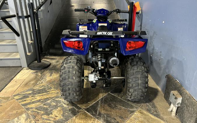 2021 Arctic Cat Off Road Alterra 90 2x4