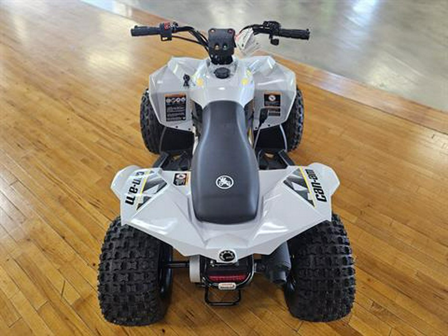 2026 Can-Am Renegade 110 EFI