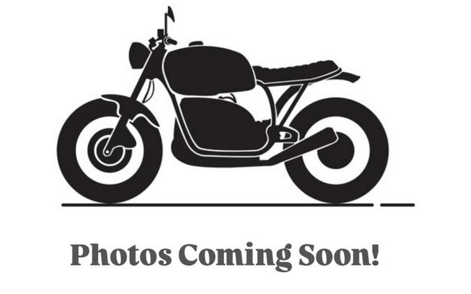 2026 BMW Motorrad R 1300 RT