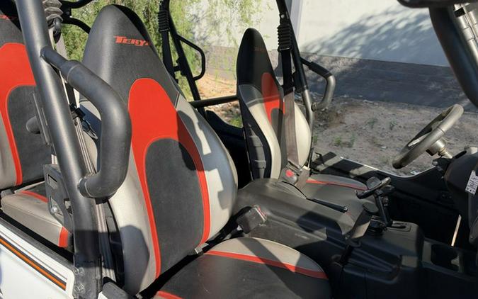 2018 Kawasaki Teryx4