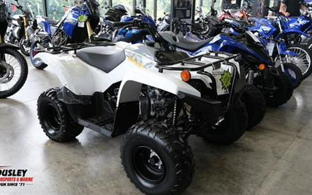 2024 Yamaha Grizzly 90