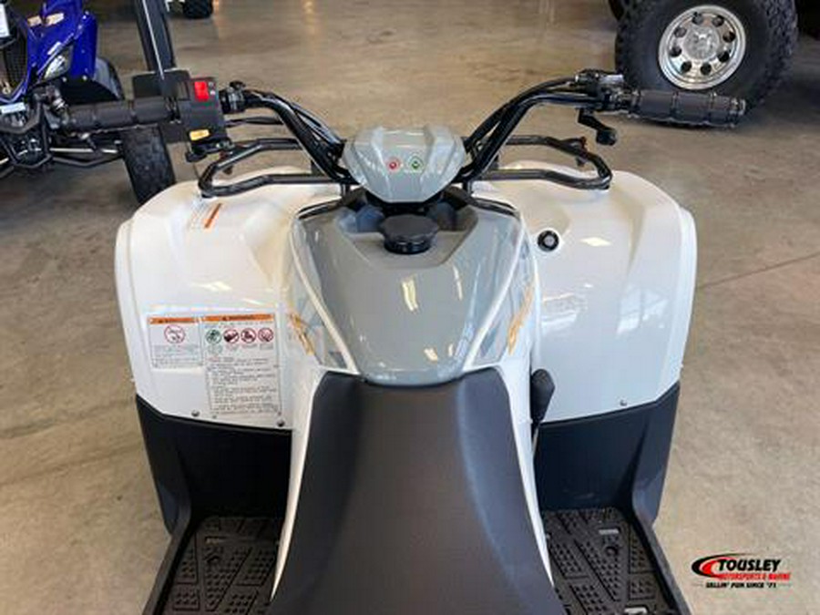 2024 Yamaha Grizzly 90