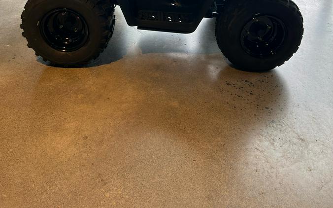 2025 Kawasaki KFX 90