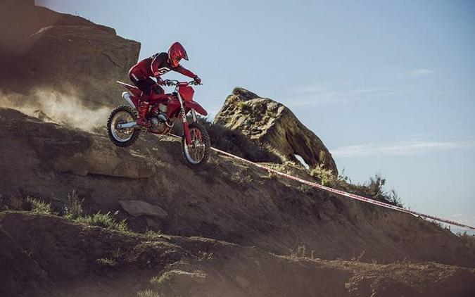 2025 GAS GAS EX 250F