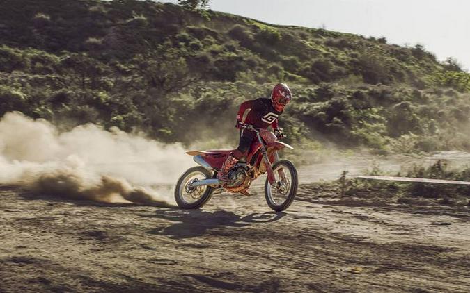 2025 GAS GAS EX 250F