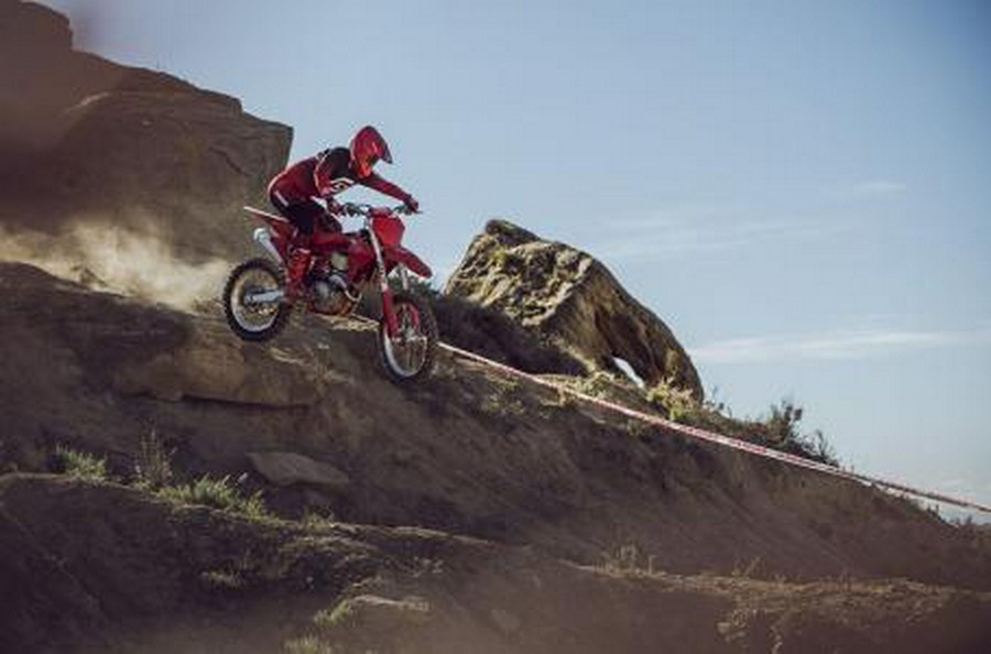 2025 GAS GAS EX 250F