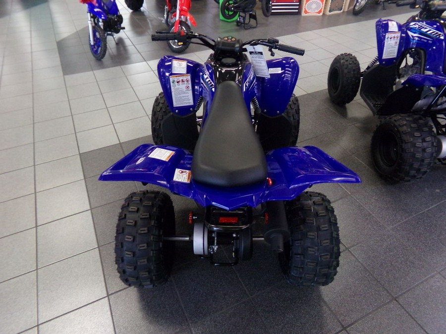 2026 Yamaha Raptor 110