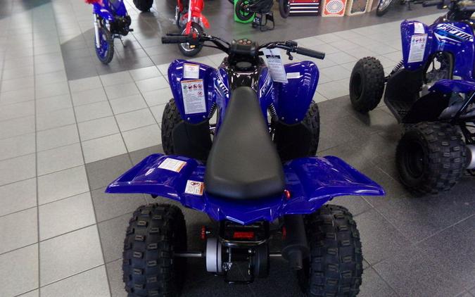 2026 Yamaha Raptor 110