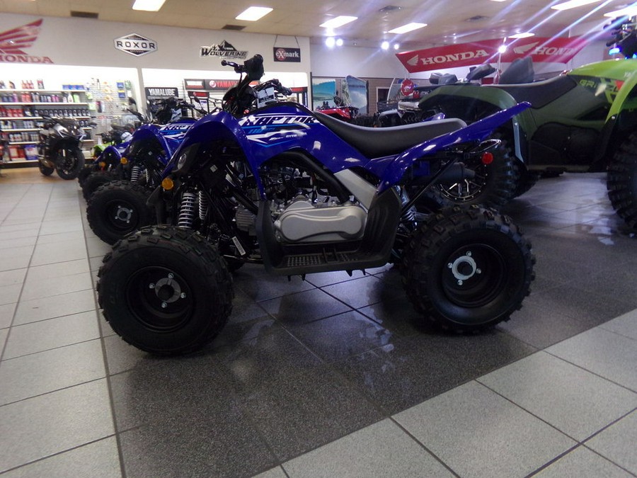 2026 Yamaha Raptor 110