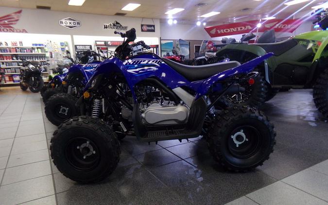 2026 Yamaha Raptor 110