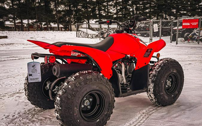 2025 Honda® TRX90X