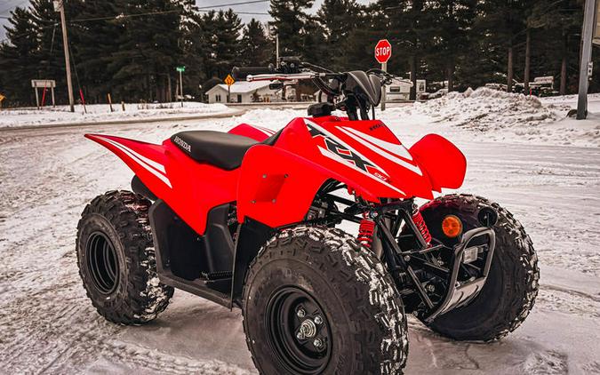 2025 Honda® TRX90X