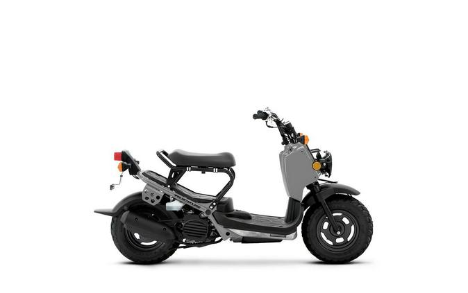 2022 Honda RUCKUS