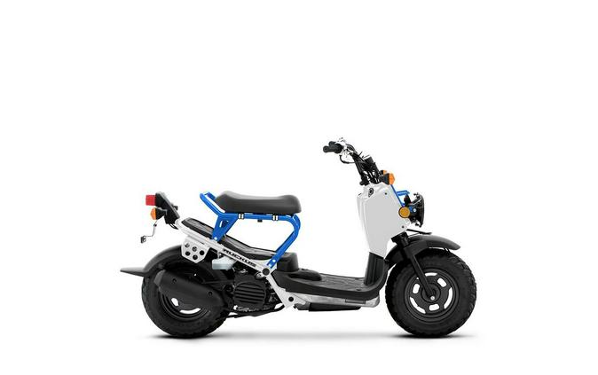 2022 Honda RUCKUS