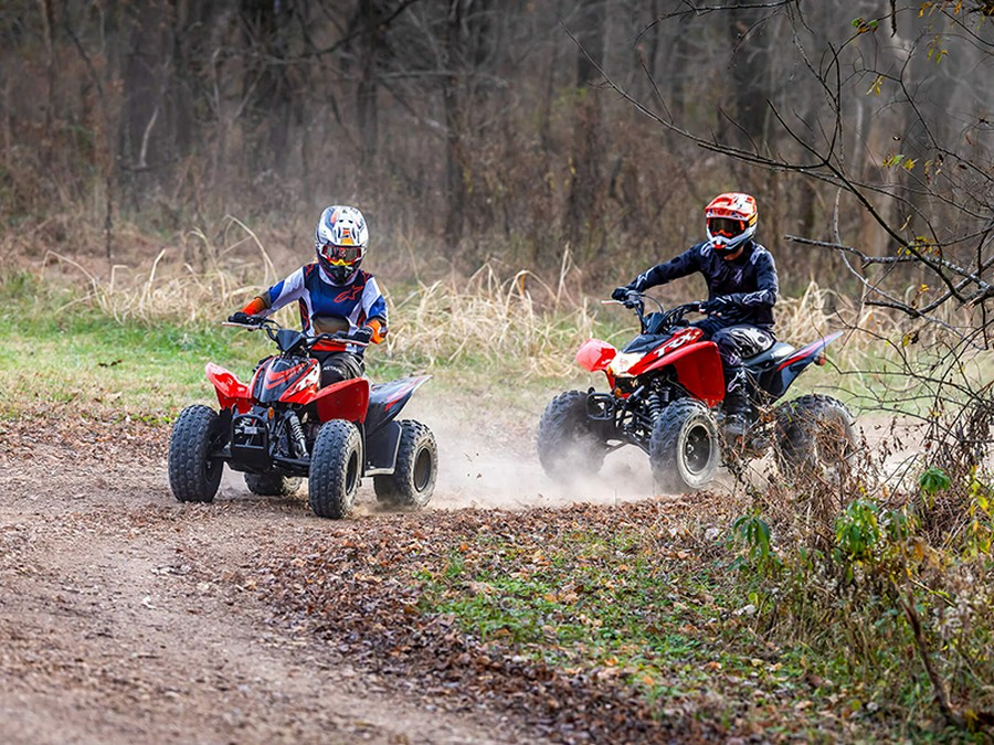 2024 Honda TRX 90X