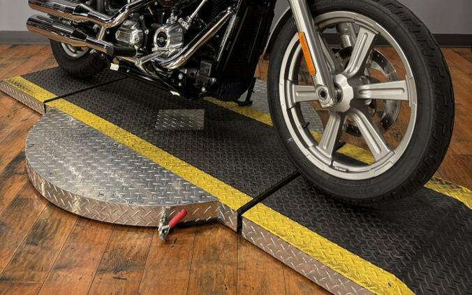 2024 Harley-Davidson® Softail™ Standard BILLIARD GRAY
