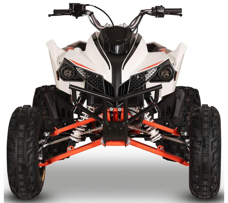 2027 Kayo Storm 300 EFI