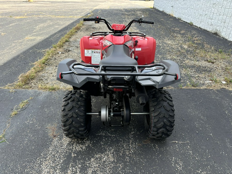 2025 Yamaha Grizzly 110