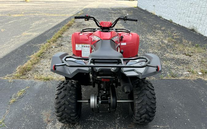 2025 Yamaha Grizzly 110