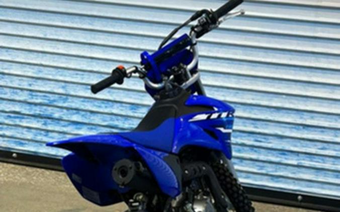 2026 Yamaha TT-R 110E