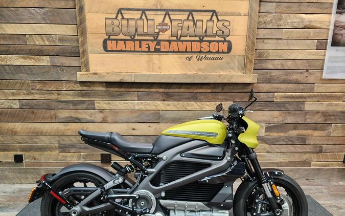 2020 Harley-Davidson LiveWire First Ride