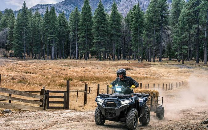 2026 Kawasaki Brute Force® 750 EPS