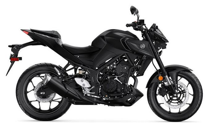 2021 Yamaha Motor Corp., USA MT-03