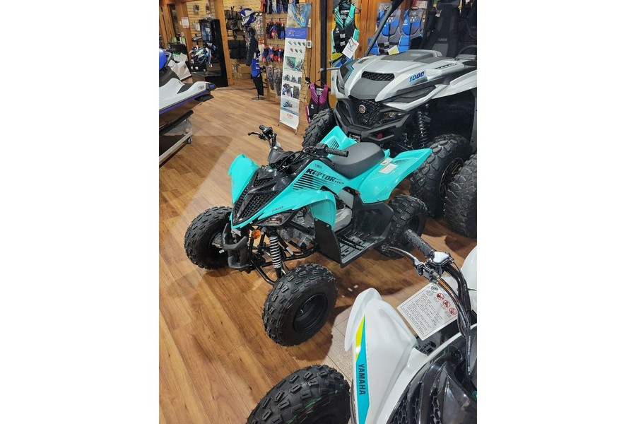 2024 Yamaha RAPTOR 110