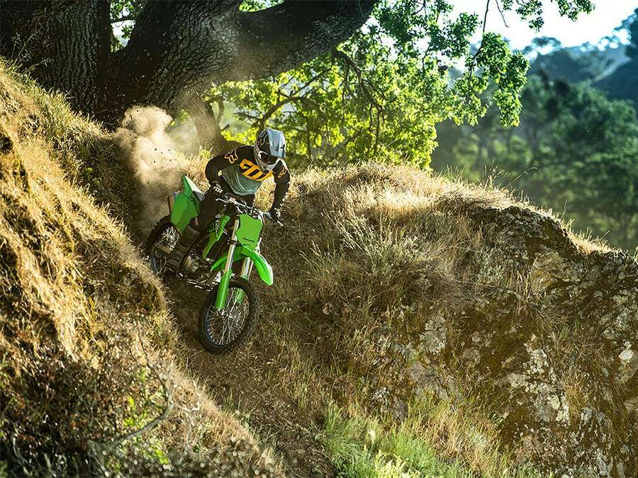 2025 Kawasaki KLX®300R