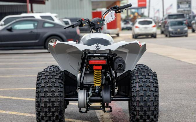 2024 Can-Am™ Renegade 110 EFI