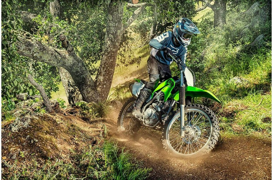 2020 Kawasaki KLX®230R