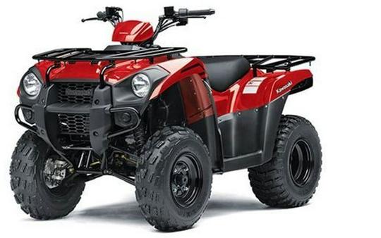 New 2024 Kawasaki BRUTE FORCE 300