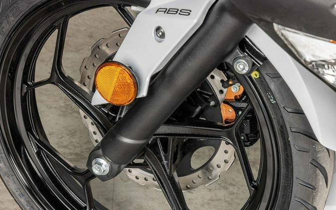 2026 Kawasaki EX300GTFNL