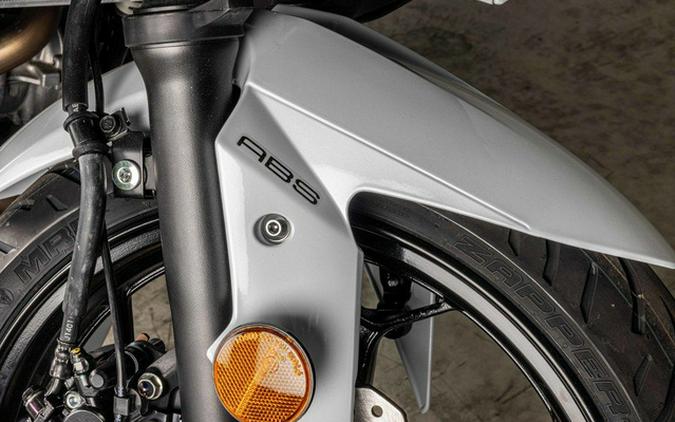 2026 Kawasaki EX300GTFNL