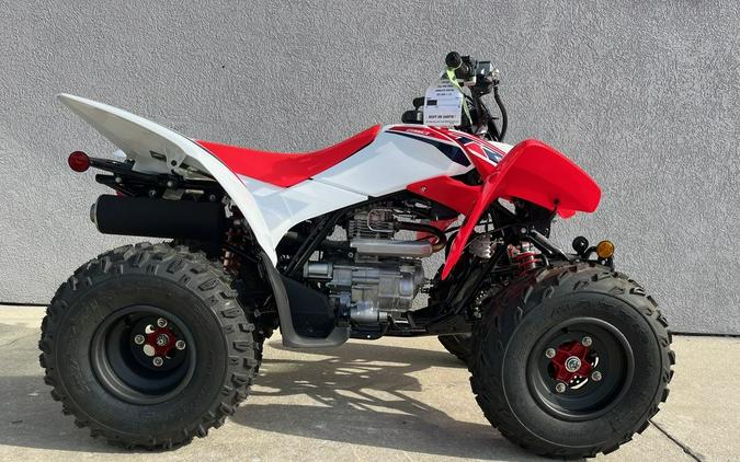 2024 Honda® TRX250X