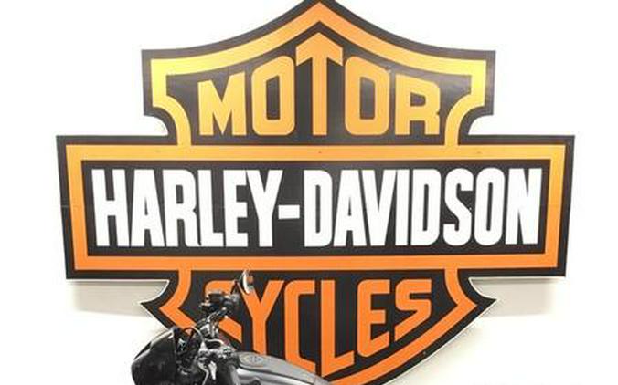 2024 Harley-Davidson® RH975S - Nightster® Special