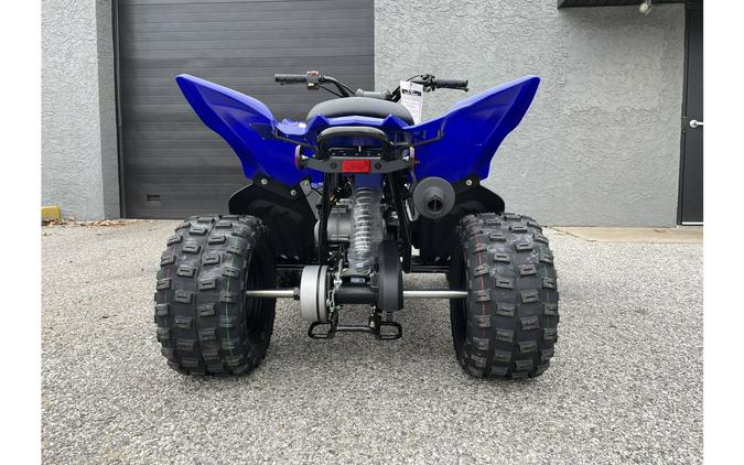 2024 Yamaha Raptor 110