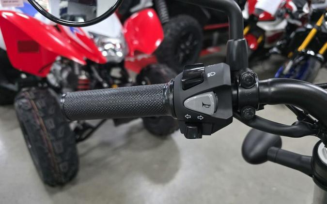 2026 Honda Rebel 300