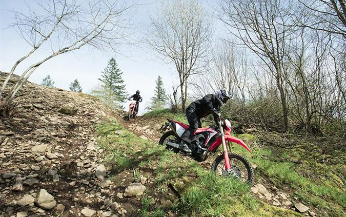 2019 Honda CRF450L